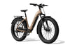 Aventure 3 Step Through Ebike